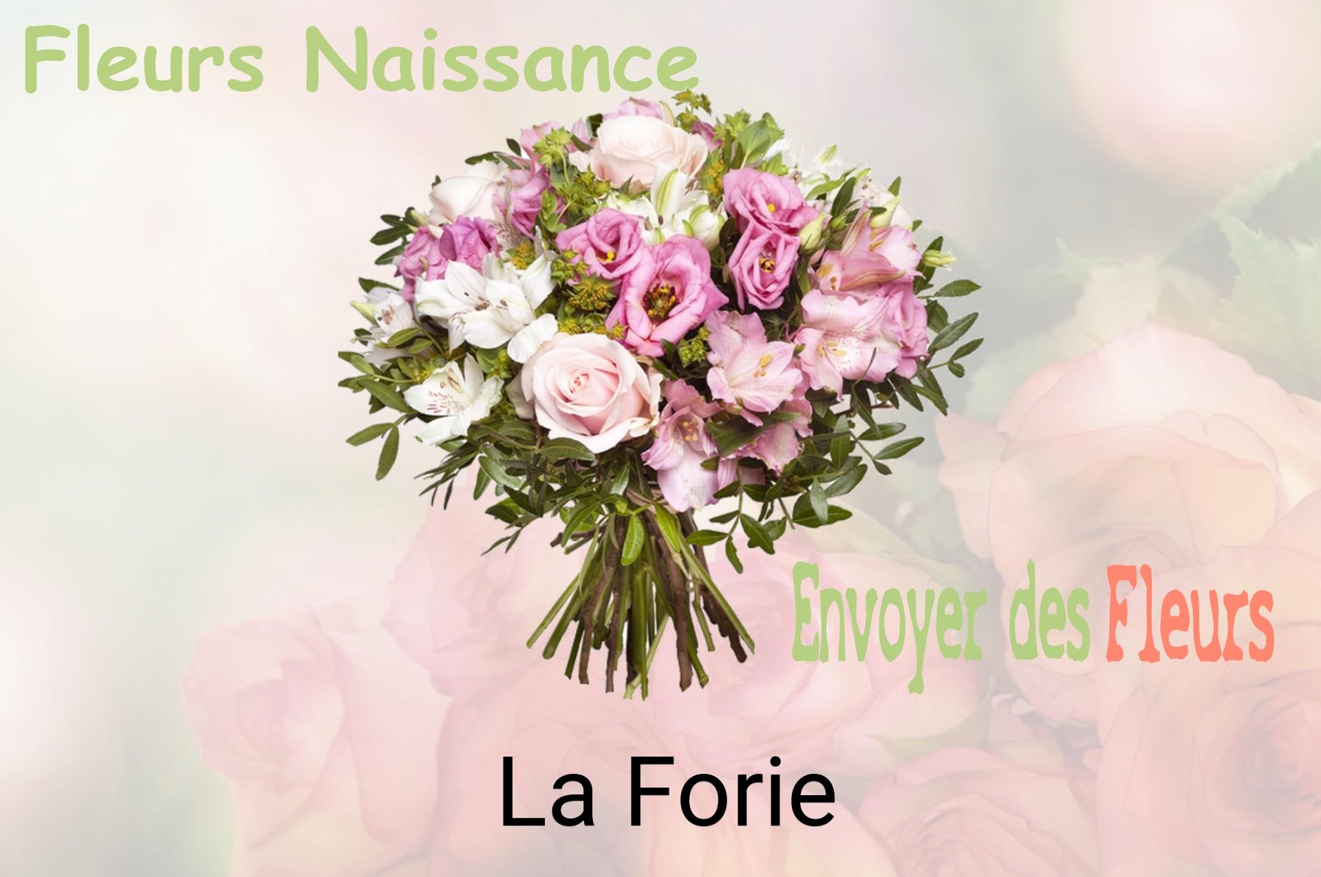 Bouquet de fleurs de naissance livré à La Forie